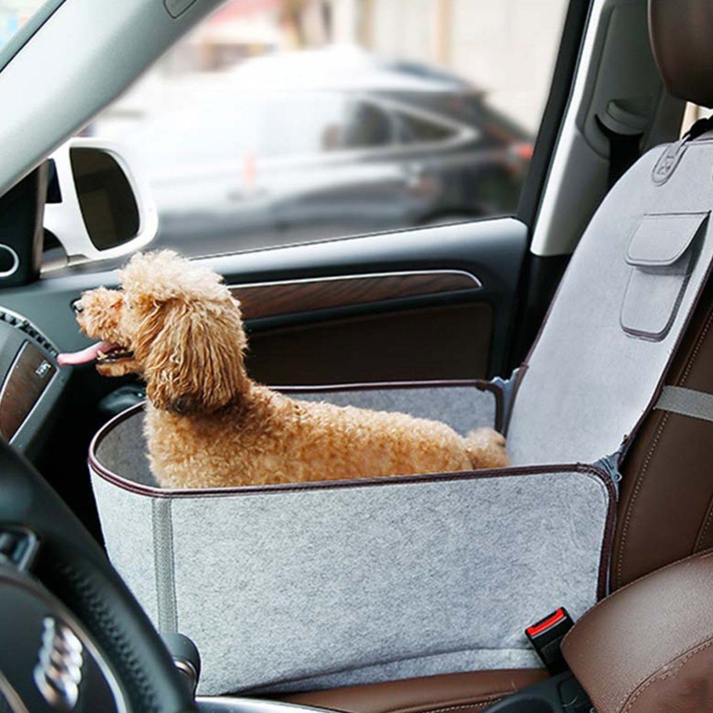 Autoabdeckung für Hunde – Perfekt für kleine und mittelgroße Hunde