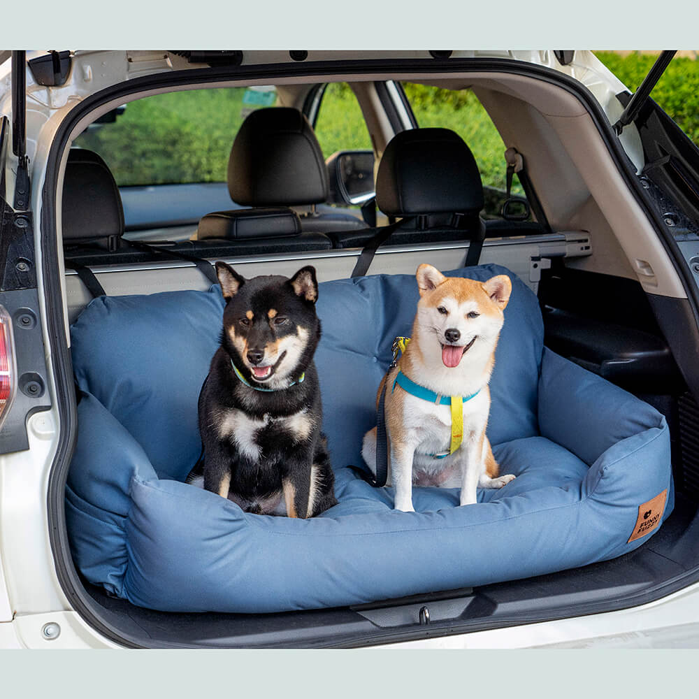 Dog Car Seat — Travel Together Safely 