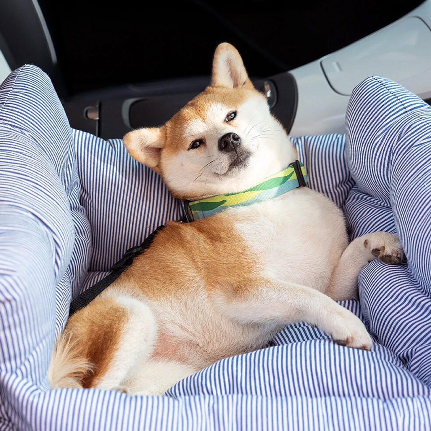 Silla de Auto Para Perro – Confort Óptimo En Desplazamiento 