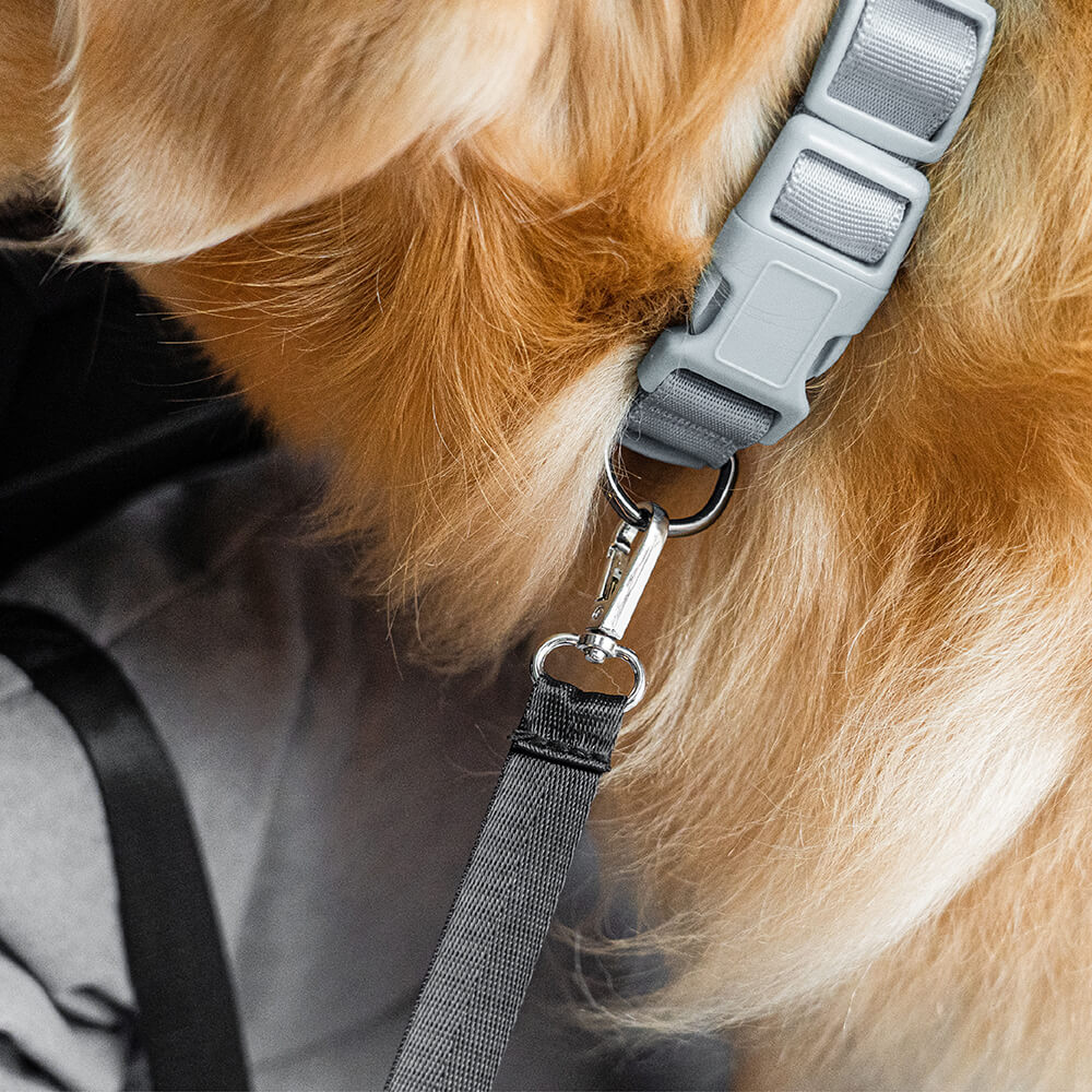 Dog Car Seat — Travel Together Safely 