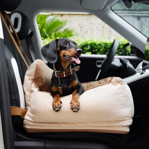 Silla de Coche para Perro – Comodidad y Seguridad en el Coche 