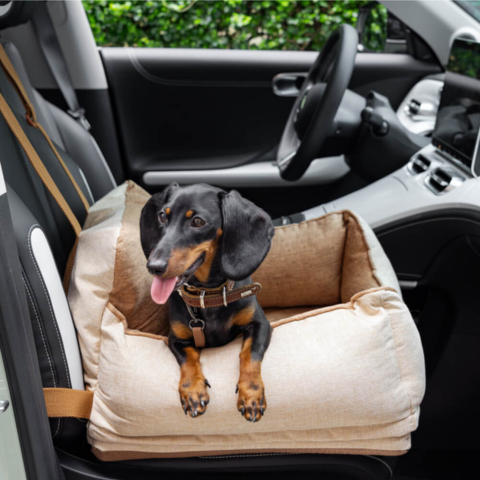 Silla de Coche para Perro – Comodidad y Seguridad en el Coche 